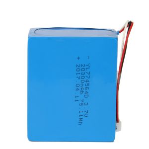 75WH Lithium Polymer Battery Pack
