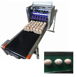 High Efficient Eggs Inkjet Coding Equipment For Expiration Date / Batch Number