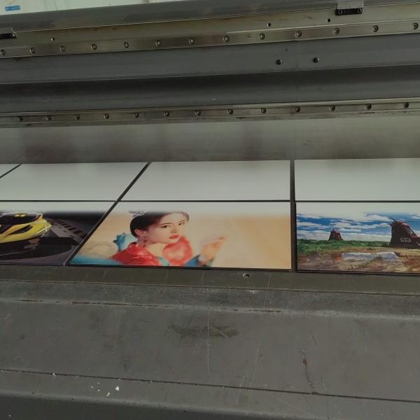 UV Digital 3D Printing Signboard Aluminium Composite Panel/ACP Advertisement