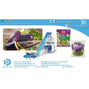 Fresh salad sliced carrot pouch packaging machine with labeling