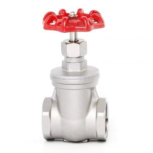 Customization Gate Valve and Customized Request for 304 Stainless Steel Thread