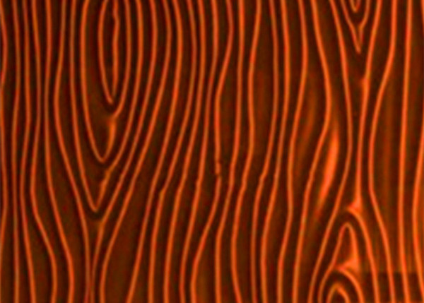 Buy Printed EVA Laminated Glass 11.5mm Liquid Stereoscopic Effect Pattern at wholesale prices