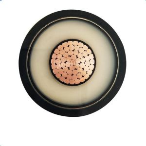Medium Voltage Power Cable Copper Conductor XLPE Insulated Armoured Power Cable