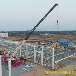 Light Steel Structure with Q355 Q235B Steel Grade