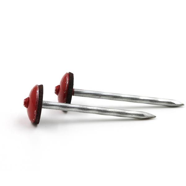2-1/4'' Galvanized Twisted Roofing Nail with big Umbrella Head