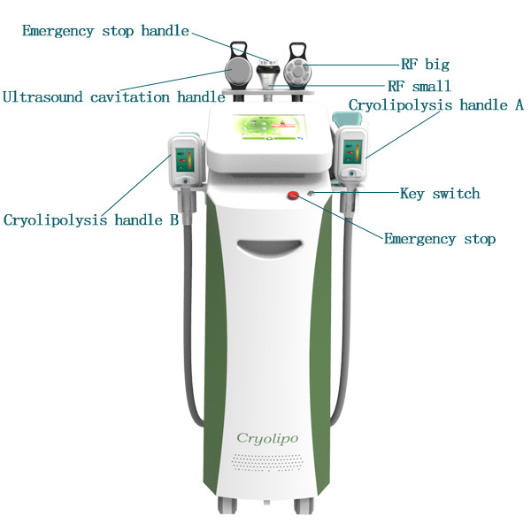 Buy CE approval 3 years warranty vertical cryolipolysis machine C325 at wholesale prices