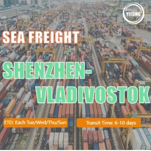 Shipping Sea Freight International From Shenzhen To Vladivostok Russia