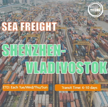 Buy Shipping Sea Freight International From Shenzhen To Vladivostok Russia at wholesale prices