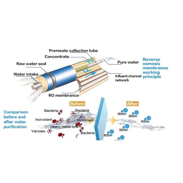 1000 LPH Reverse Osmosis Water Treatment System For Drinking Water
