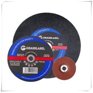 100x3.2x16mm 30grit MPA Stainless Steel Angle Grinder Blade