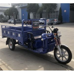 1000w 0.6 Ton Electric 3 Wheel Cargo Motorcycle