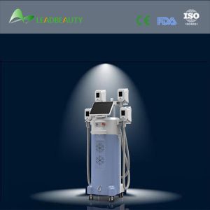 China beauty salon equipment double cryolipolysis machine 4 handles
