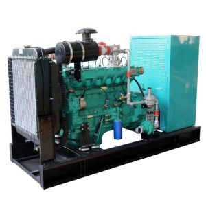 Farm 20kw Biogas Generator Set with Electrical Start and CE/ISO9001 Certificatio