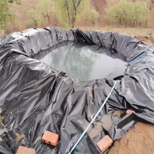 1m-8m Width Green HDPE Geomembrane for Reinforced Anti-seepage Fish Pool Pond