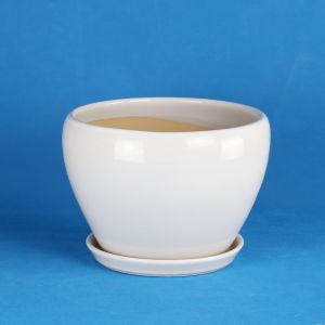 Stunning Plant Display With Our Ceramic Pots Affordable Prices