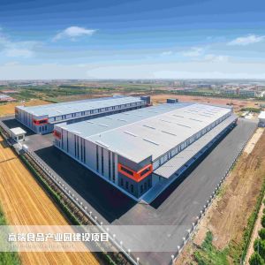 ISO Steel Structure Workshop EPS Panel Prefabricated Steel Structure H Shaped