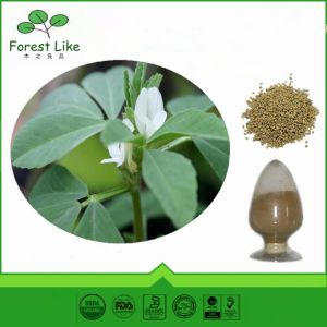 Fenugreek Seed / Trigonella Foenum-Graecum Extract Powder 50% Saponins