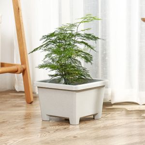 Indoor Quadripod 7.6L 2 Gallon Nursery Resin Plant Pots