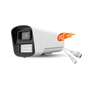 Dual Light Night Vision IP66 Waterproof Security Camera IP 2-way Audio Human