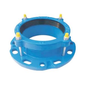 ODM API598 3 Inch Flange Coupling Adapter PN10