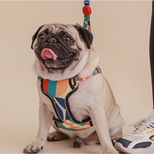 Upgrade Your Dog's Walks with Our Luxurious Reflective Dog Harness and Leash