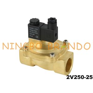 China Fluid Control Brass Solenoid Valve 2V250-25 1'' 2/2 Way 24V 220V on sale