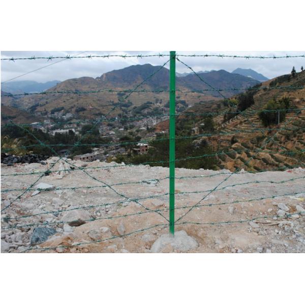 ISO 9001 2.2 Mm Razor Barbed Wire , Plastic Coated Galvanized Barbed Wire