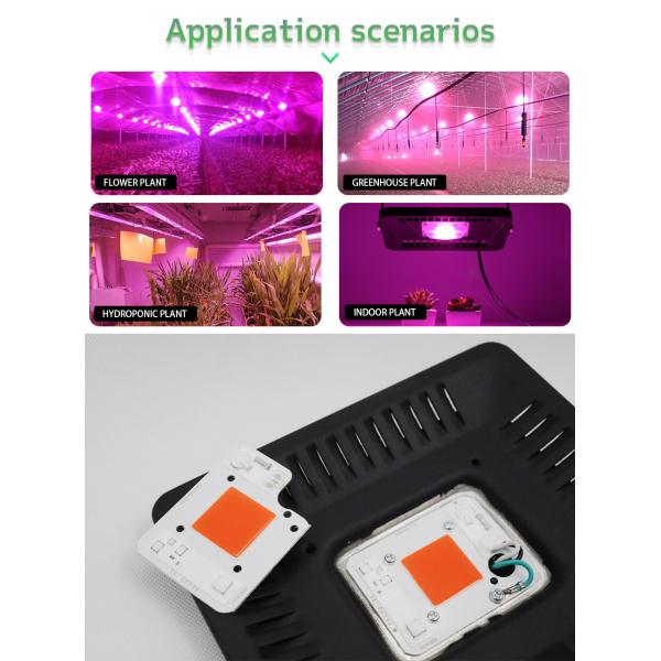 3000lm COB LED Module COB Chip 50Watt 6000K For Commercial Lighting Solutions