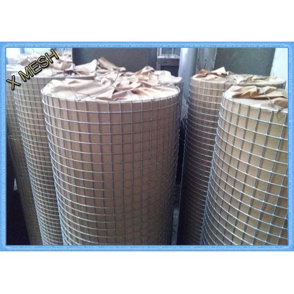 Buy Electric Fusion Galvanised Welded Mesh Rolls Stainless Steel Wire 19 X19x1.6mm Dia at wholesale prices