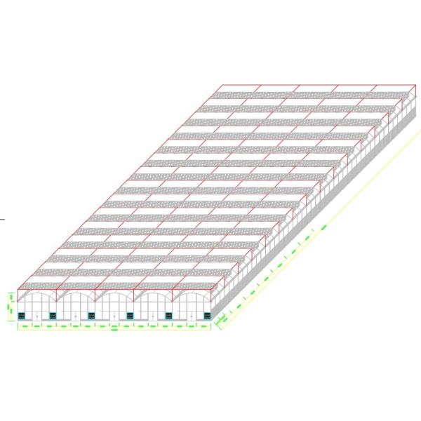Buy Plastic Dome Multi Span Greenhouse Stable Performance Commercial Long Lifespan at wholesale prices