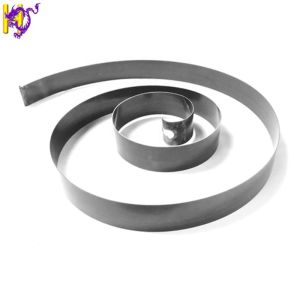 Adjustable Steel Power Torque Constant Force Spring for Tape Measure