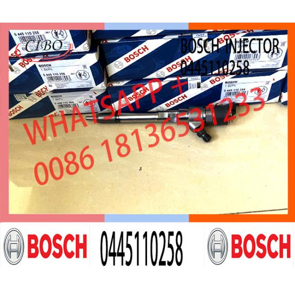 0445110245 0445110246 0445110257 0445110258 0445110725 Fuel Diesel Injector 33800-27400