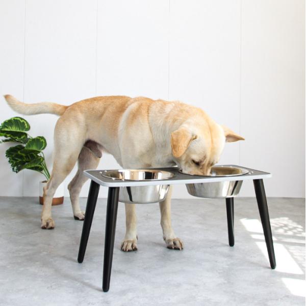 Collapsible Double Dog Bowl Elevated Adjustable Raised Stainless Steel