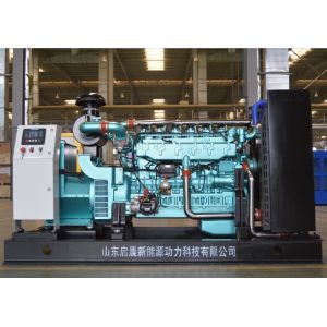 CNG LNG natural gas generator 300kw