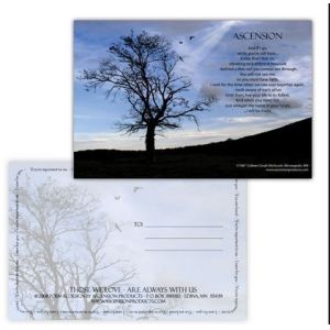 PLASTIC LENTICULAR 3d changing motion lenticular effect postcard lenticular