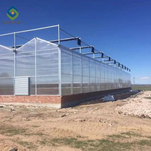 Garden Transparent 12m Flower PC Sheet Greenhouse