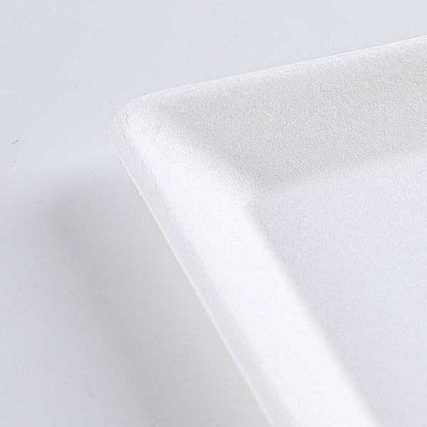 Compostable disposable bagasse food container biodegradable sugarcane tableware Bagasse Square Plate