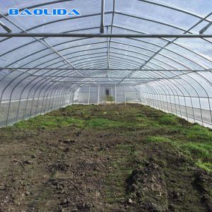 Agricultural High Hoop Arch Polyethylene Film Greenhouse For Planting