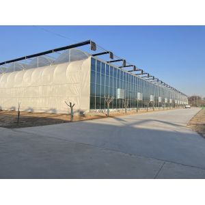 Multi-Span Venlo Glass Greenhouse with Cocopeat Hydroponics System and