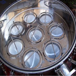 Stainless Steel Multi Bags Filter Housing efficient Liquid Filtration Equipment
