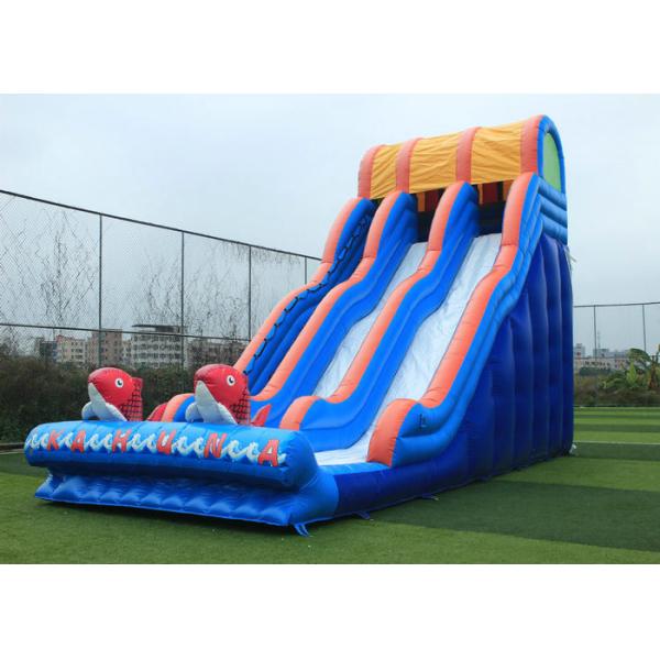 Garden Outdoor Inflatable Water Slide , Big Party Cartoon Toddler Water Slide