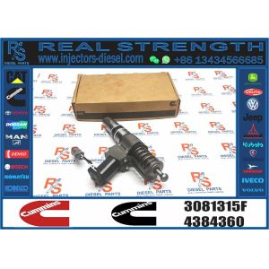 High Quality 3081315F Common Rail Injector 3081315F Auto Parts Injector