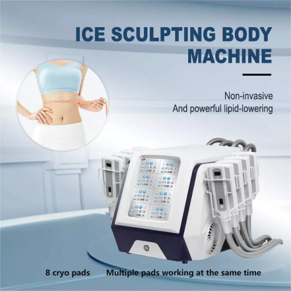 Portable Cryolipolysis Fat Freezing Machine , Vacuum Weight Loss Cryo Slimming Device