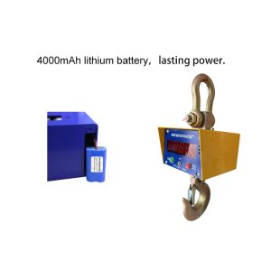 High Precision Electronic Hanging Weighing Scale 10T Digital With Printer