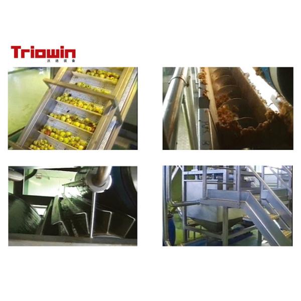 Industrial Fresh Apple Processing Line , Fruit Processing Machine Aseptic Bag