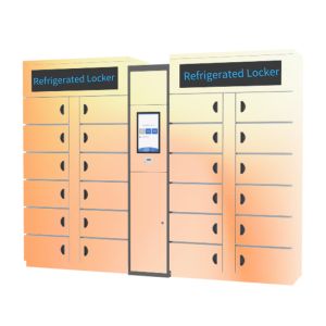 Smart Vegetable Refrigerated Locker Electronic Cabinet Cold Rolled Steel