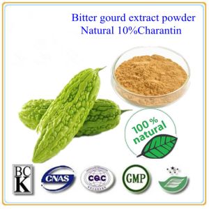 Quality Pure Nature Bitter Melon Extract Bitter Melon P.E.Powder-- Momordica charantia L. for sale