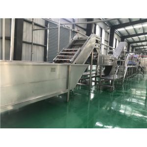 15T/Day SS304 Concentrated Pineapple Juice Production Line