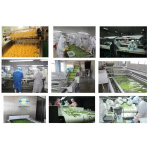 China Supplier Soya Beans IQF Frozen Edamame in Shelled