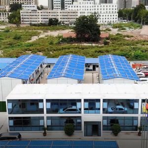 Best Flat Pack Container House 40ft Home in Australia with Online Technical